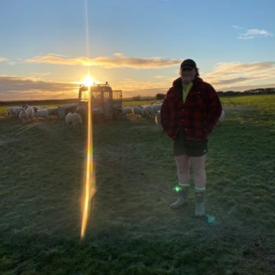 fredreynolds101's profile picture. 