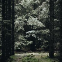 AVHWhistler (@avhwhistler) 's Twitter Profile Photo AVHWhistler (@avhwhistler) 's Twitter Profile Photo