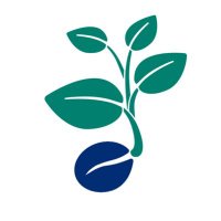 Duke Society for Early Education Scholars (@duke_seeds) 's Twitter Profile