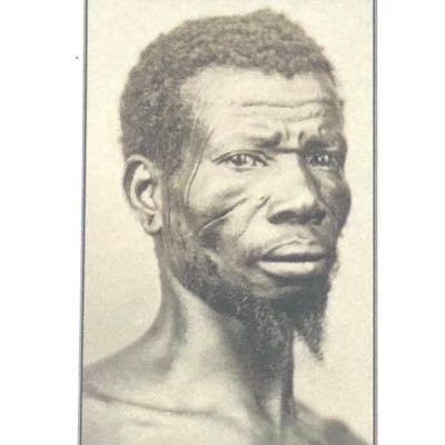 oMauCidadao's profile picture. 🇵🇸 De Bom Escravo a Mau Cidadão ✊🏿