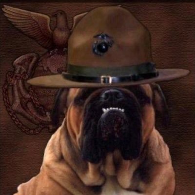 Xxavier04120846's profile picture. BOLD