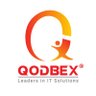 qodbex's profile picture. Information Technology Company