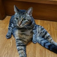 yunbooooo (@yubooou1) 's Twitter Profile