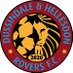 Dussindale & Hellesdon Rovers FC (@DussyRoversFC) Twitter profile photo