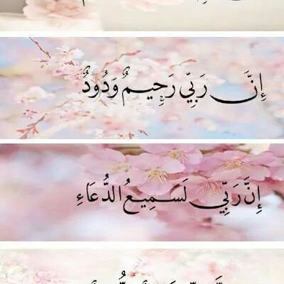 {كَتَبَ رَبُّكُمْ عَلَى نَفْسِهِ الرَّحْمَةَ}