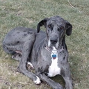 Aaron Malinowski - @Malinowski_moon - Twitter