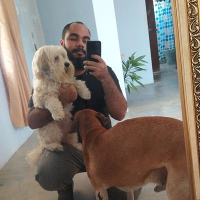 @llomosapiens