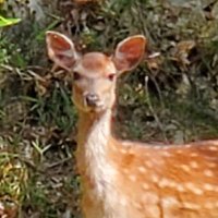 とや (@xs9esmmu5q1vwqx) 's Twitter Profile Photo