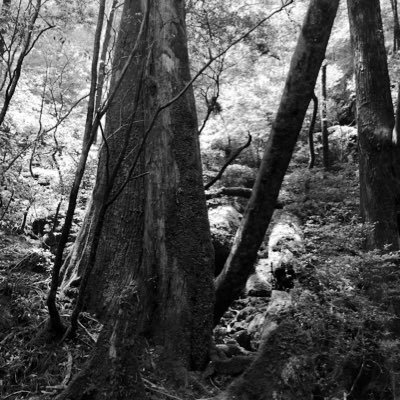 Miyashi00012's profile picture. Sustainability Science