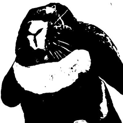 Ama_nonno's profile picture. ゆる〜いアニメ&ゲームオタ。ウサギ🐰とインコ🦜飼ってます。趣味で絵を描いたりしてます。