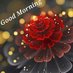 Sohailahmad654321 (@sohailahmad6541) Twitter profile photo Sohailahmad654321 (@sohailahmad6541) Twitter profile photo