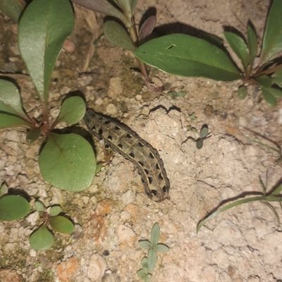 pinfin01's profile picture. Welcome!