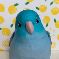 いちじく@取引垢【プロカ有】 (@1109_pepino_2) Twitter profile photo