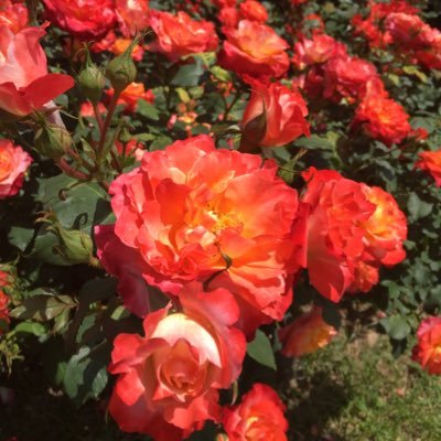 n0s52JSq0rEUKPW's profile picture. パチンコにはまり１５年。失ったお金と時間は取り戻せませんが、今から人生を少しでも豊かにしたいと思います。任意整理で200万完済したのに、またしても借金１００万…返済中。。。禁パチ頑張りたいです。