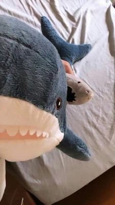 FqMSkkGFrkWUADW's profile picture. 💚