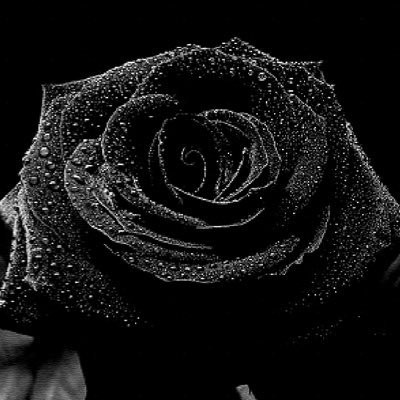 WeirCaine's profile picture. 