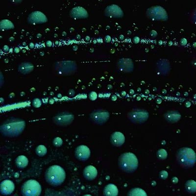 BookOfMalachi's profile picture. BLM & ACAB || Ally || He/Him || Your god is fake news || Police are a gang of serial killers || GOP are traitors and murderers