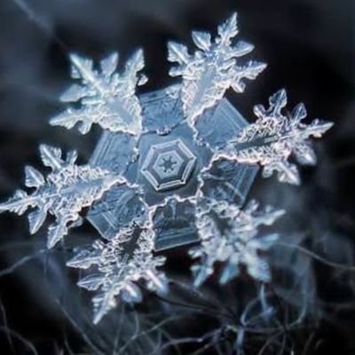 LUCK33323825's profile picture. どうも永遠のバカ、ﾗｯｸﾃﾞｽ。気軽に絡んで下さい！迷言and名言の称号頂きました。→@natta799
 神、それだけ…→@3_phantasia 
とある事で本垢BANされました。（2回目）
返信遅い方です、
#3パシしか勝たん