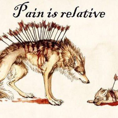 apexplayer25's profile picture. 