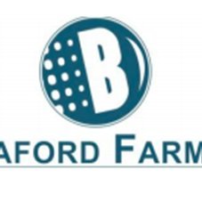 Braford Farming