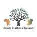 Roots in Africa-Ireland Network (@riainetwork) Twitter profile photo