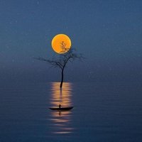 Qasim Alamri (@qasimalamri888) Twitter profile photo