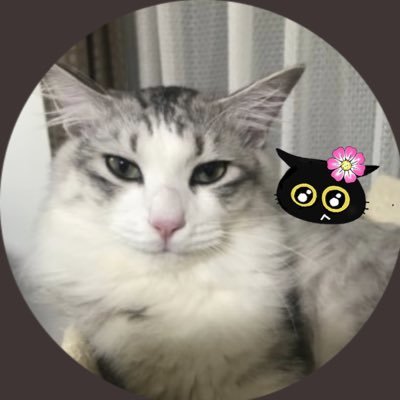 ルル親分とクロ子さん🐟さんのプロフィール画像