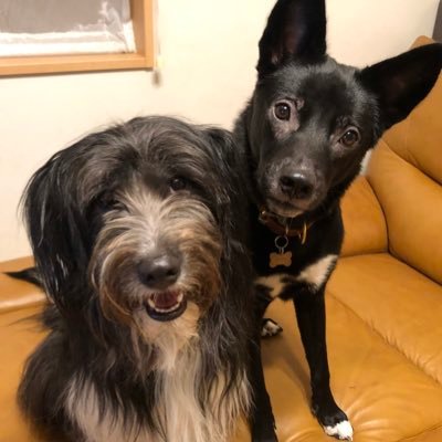 saaco7274's profile picture. 