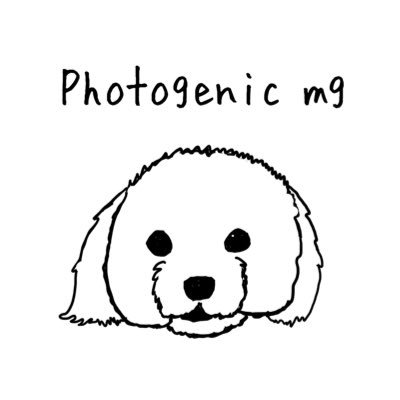 photogenic_mocacoさんのプロフィール画像