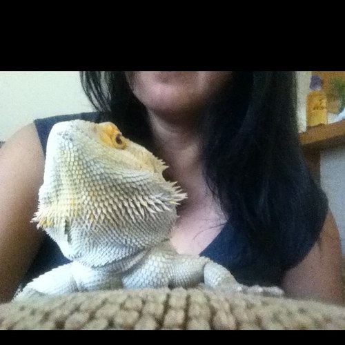 yflowers's profile picture. I love my dragon!!