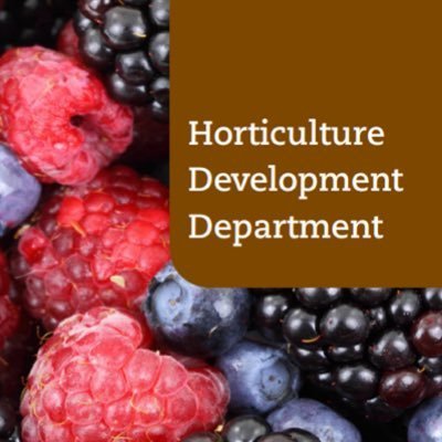 The Horticultural Development Department in Teagasc supports Irish Horticulture by providing Knowledge Transfer, Research and Development services to the sector