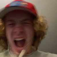 Rango 2 in theaters Christmas 2023 (@realbennylamp) 's Twitter Profile