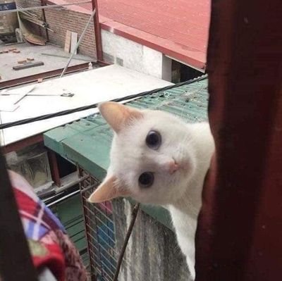 jusmine_latte's profile picture. 