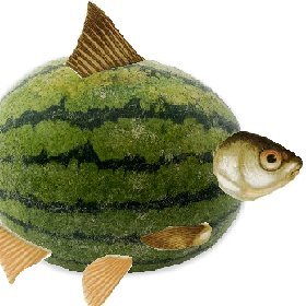 mkupbuji's profile picture. 