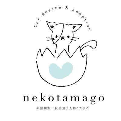 nekotamago_ Profile Picture