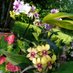 adelina_mzelela_flowers (@adeflowers_tz) Twitter profile photo adelina_mzelela_flowers (@adeflowers_tz) Twitter profile photo