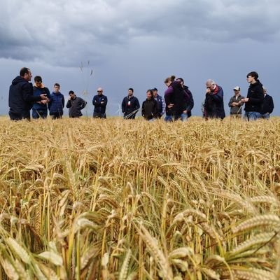 CETA de Romilly-Sur-Seine/Gpe 30000  Communication positive sur ls actions mises en place pour moins dépendre ds produits phytosanitaires #agronomie #innovation