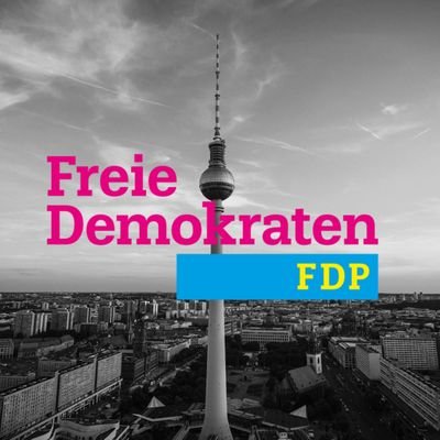 FDP Berlin Mitte