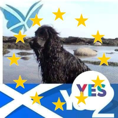 Lifelong Scottish Independence supporter and pro EU. I have no time for idiots or bots and they will be blocked.