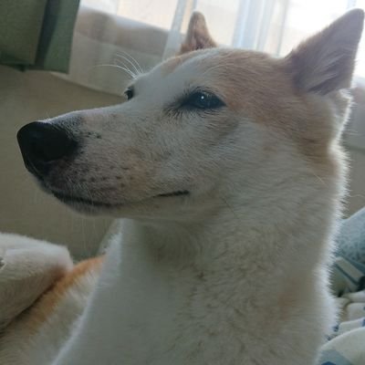 クラリネ Augustamaaya Twitter クラリネ Augustamaaya Twitter