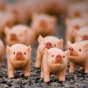 Bethany Stone - @duckydooducky - Twitter