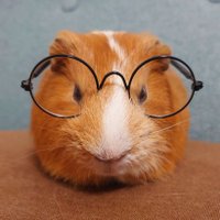 ゆな (@kikilala_0604) 's Twitter Profile Photo