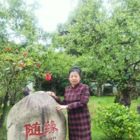 今生随缘 (@ldc666666) 's Twitter Profile