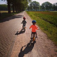 Tim Lievens (@timlie) 's Twitter Profile