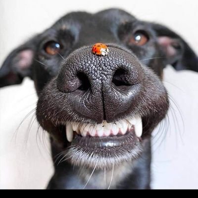 Thedemo00382650's profile picture. 