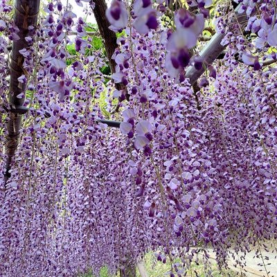 weltolail269's profile picture. 