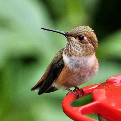 I_C_Lunarkstar's profile picture. Welcome to pain and pointless rambling

https://t.co/04LbsPNWwr