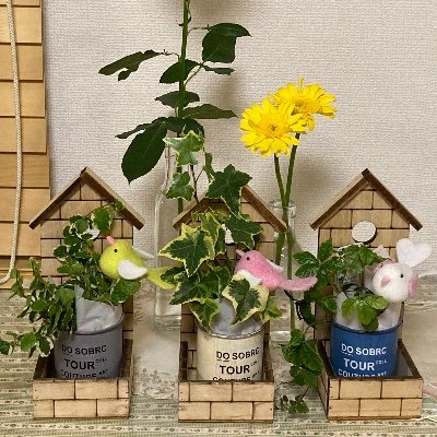 8PrXCpVpM3U9baH's profile picture. 