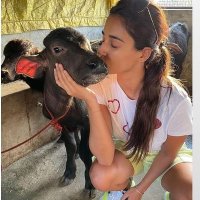 ⚕️Dr.prjjaat⚕️ (@prj_jaat) 's Twitter Profile Photo ⚕️Dr.prjjaat⚕️ (@prj_jaat) 's Twitter Profile Photo