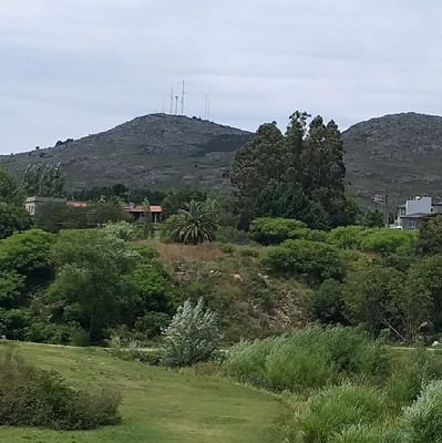 InesIIBA's profile picture. 